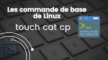 Les commandes de base Linux | touch cat cp  #darija