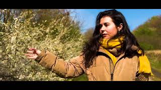 Download Lagu Dexire - BirthMarks (Official Video) Directed by Legacy Animation. MP3