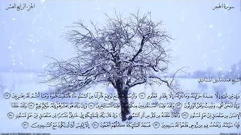 سورة الحجر للشيخ محمد صديق المنشاوي رحمة الله عليه