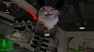 The Garry's Mod Horror Experience...