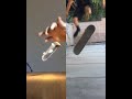 Tech Deck vs Skating