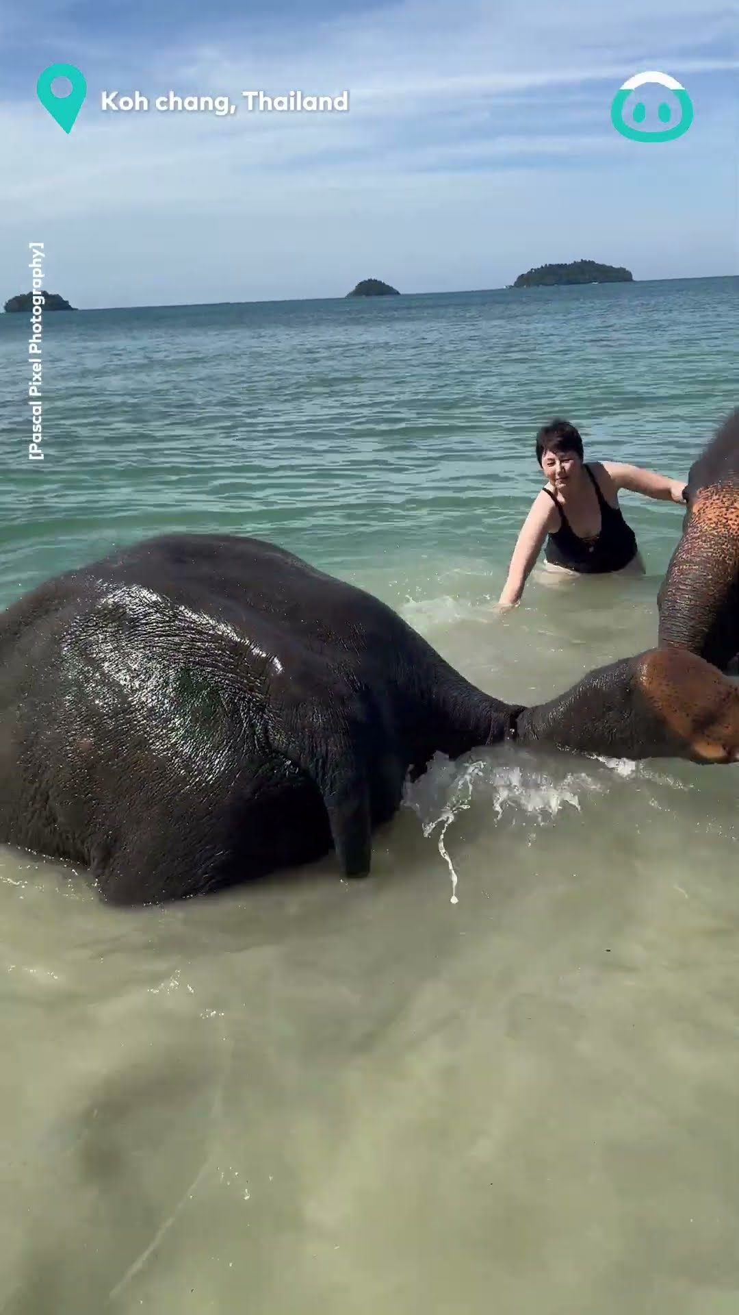 Elephants Enjoy A Beach Day || ViralHog