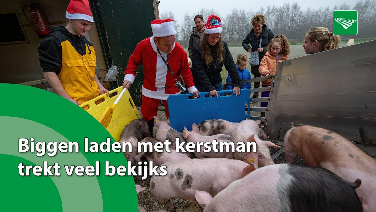 Biggen laden met kerstman trekt veel bekijks