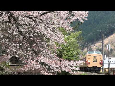 2014 04 13 桜と国鉄色の山陰線