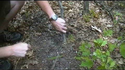 Root Cordage Bowdrill Fire - Part 1