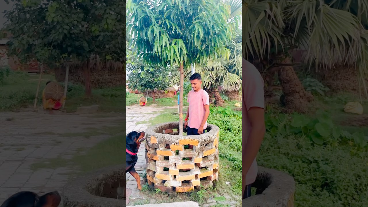 Rottweiler Max Turns Wild — Stranger Terrified 😱 #RottweilerMax #DogAttack #DogLovers #DogReaction