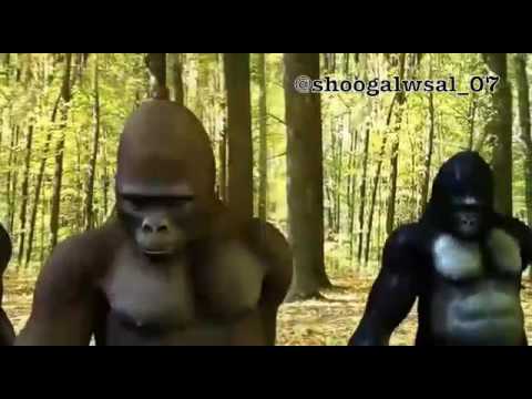 يا سعود العلي عذبني 