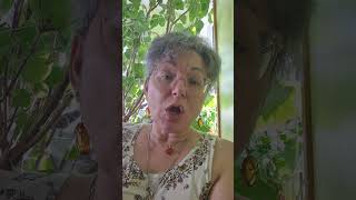 Моя новая рубрика: Ищем родственников и знакомых. Присоединяйтесь