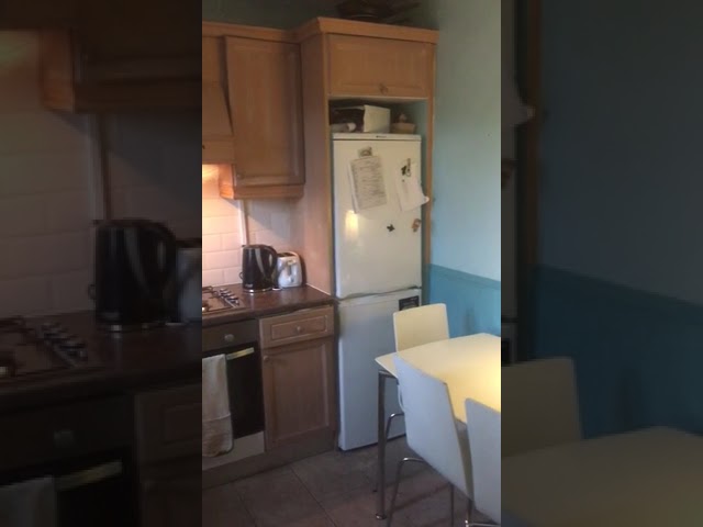 Video 1: