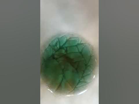 고려청자 복원작품 고려 청자 특징 (기포)형성 감상하세요 - Youtube