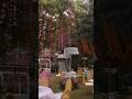 Haldi Decoration, Luxury Decoration, Destination wedding, Lucknow #wedding #love #haldi #shorts #yt