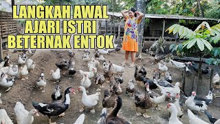 7 OLAHAN UNIK DAGING ENTOK | RAGAM INDONESIA