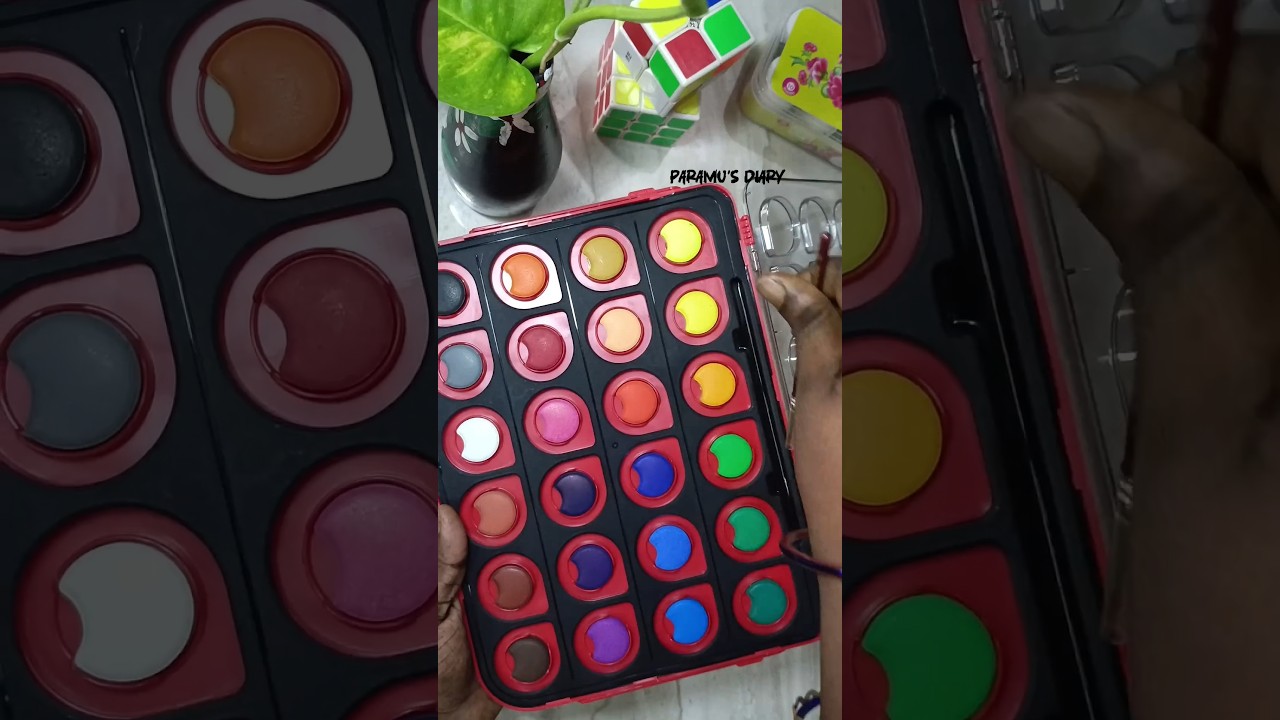 Is This Watercolor Worth It? 🎨 Honest Tamil Review 