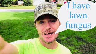 FUNGUS ON MY NEW LAWN | APPLY HERITAGE G