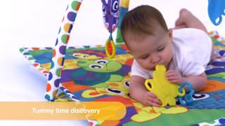 Linking Animal Friends Playgym