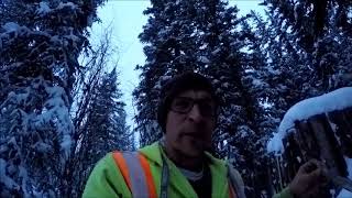 Beaver Camp Steaks And Beers