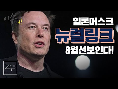 두뇌와 컴퓨터의 무선통신 👨🏻‍💻, 일론머스크의 '뉴럴링크' 8월로 예정! - IT 테크소식, 이슈 잇!