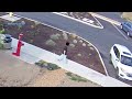 Redmond teen charged after video catches him kicking park sprinklers