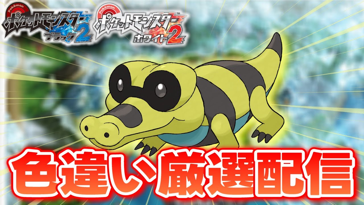 【ポケモンBW2】色違いしか使ってはいけない色違い縛り実況 メグロコ編 7700~【生配信】