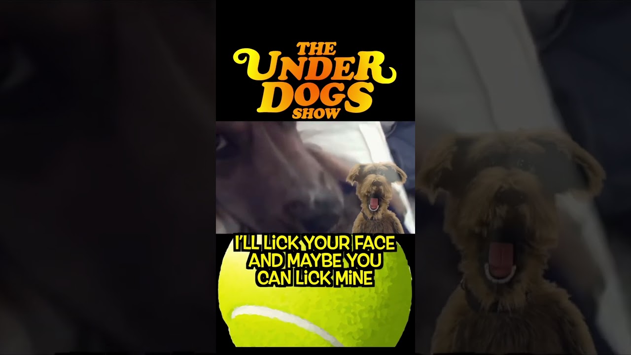 #iwanttoknowwhatloveis