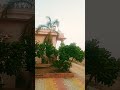 my village mandir #my #village #villagelife #temple #baps #shorts #trending #god #blessings #viral