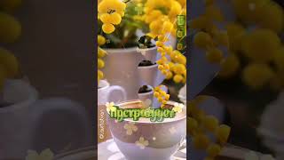 Доброе весеннее Утро! 🍵🌷🌺💐💞