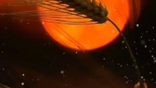 Kürtçe Şarkılar En Güzel Whatsapp Durumu Duygusal Kürtçe Sözleri Kürtçe Aşk Şarkısı