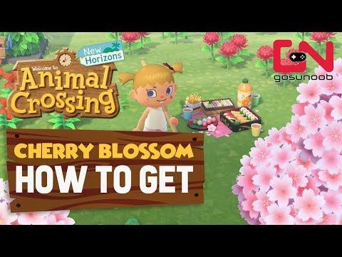 Video: Animal Crossing Cherry Blossoms: Jak Najít Recepty Nábytku Z Třešňového Květu A Chytit Lístky Třešňového Květu