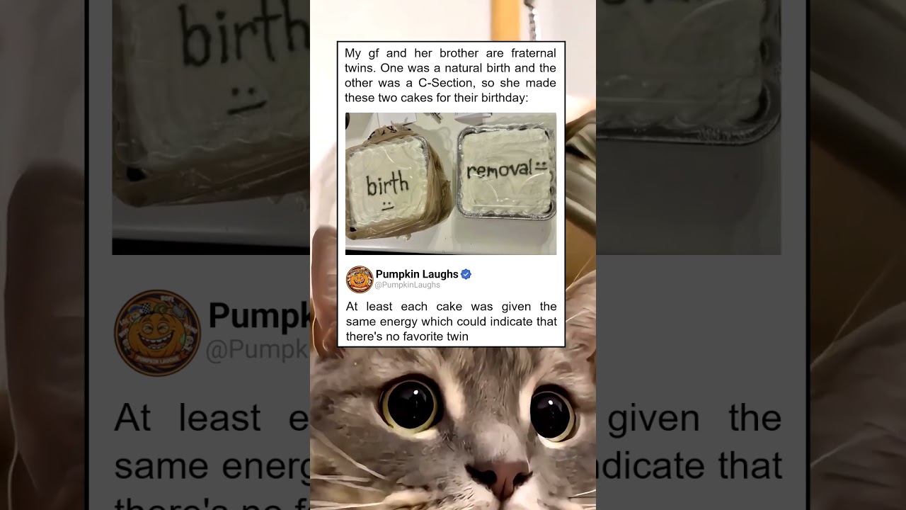 Both cakes have the same energy - funny memes | relatable american memes | dank memes