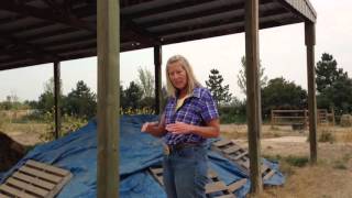 Why Should You Cover a Compost Pile?