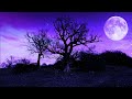 Meditation Music 528Hz | Sleeping Meditation Healing | Miracle Healing Energy | Meditative Relaxing