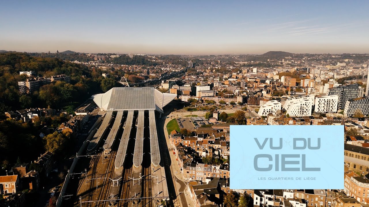Guillemins - Vu du Ciel