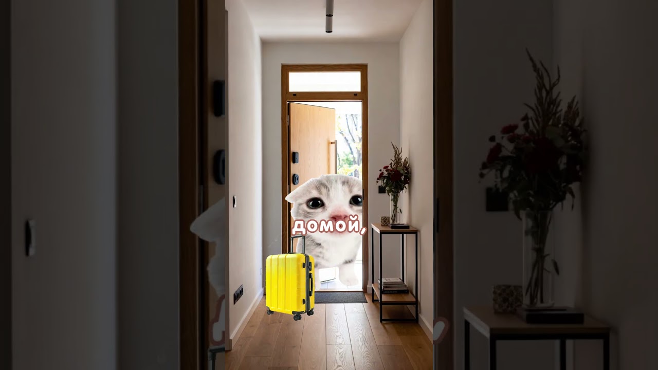 Литрели Алиса станция 