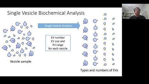 Single vesicle flow cytometry (vFC) of EV number, size and cargo by John Nolan