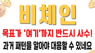 비체인 코인 / 목표가 ‘여기’까지 반드시 사수! 과거 패턴을 알아야 대응할 수 있네요
