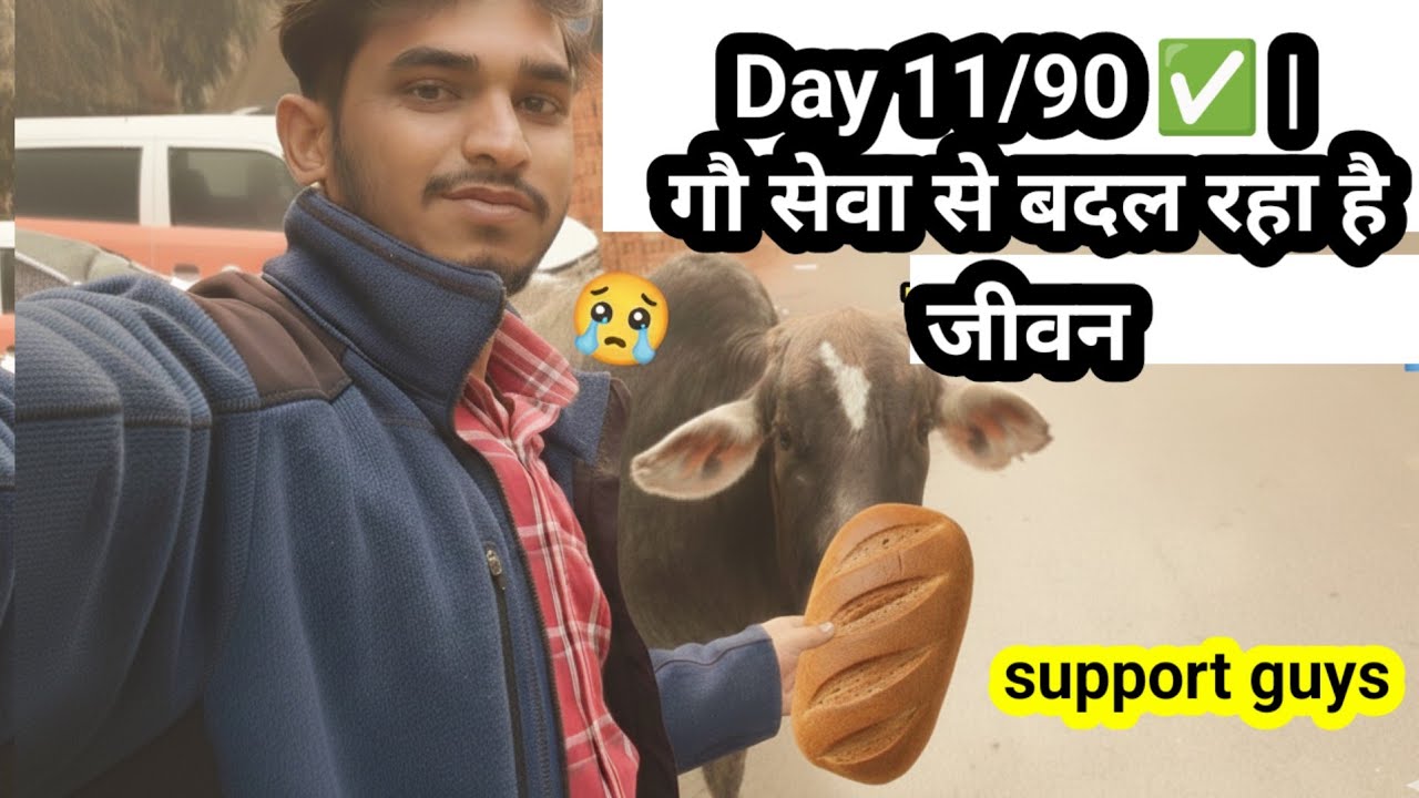 Day 11/90 ✅ | गौ सेवा से बदल रहा है जीवन 