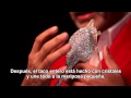 La Cenicienta: Edición Diamante - Christian Louboutin - La historia de un zapato