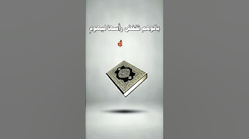 ياقارئ القرآن داوي قلوبنا 🌺 #ياقارئ_القران_داوي_قلوبنا