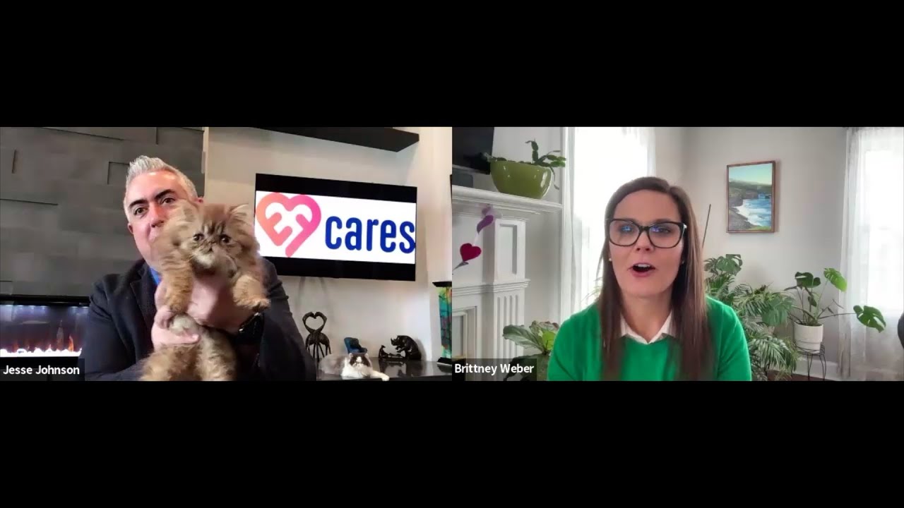 Episode #223 Fireside Chat with Britney Weber Founder and Chief Strategist at the BW Collective episode artwork