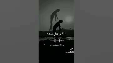 محطوط والقلب شايل بيموت 