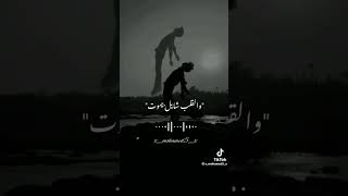 محطوط والقلب شايل بيموت