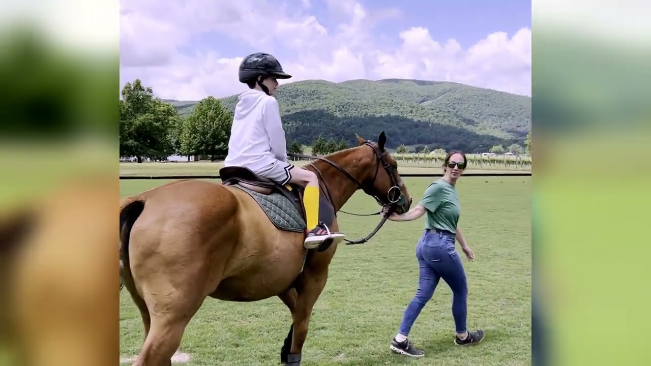 The Story Behind King Family Vineyards | Polo, Wine & Community in Charlottesville, VA - Crozet, VA