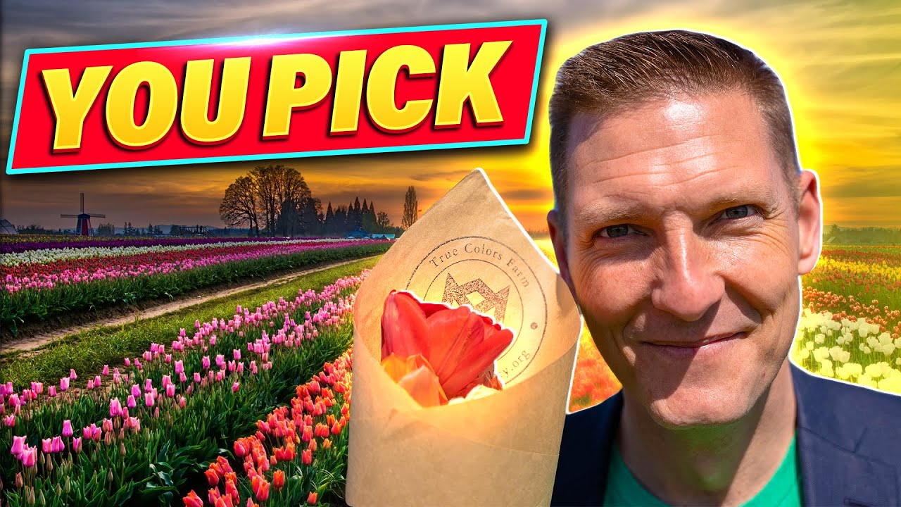 True Color Tulip Farm Highlighting Local Businesses YouTube True Color Tulip Farm Highlighting Local Businesses YouTube