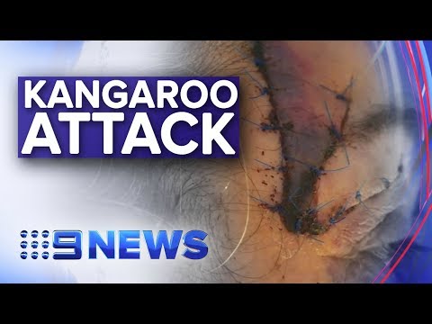 Woman 'played dead' to escape violent kangaroo | Nine News Australia