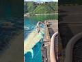 INSANE‼️A SMALL SPEAR BEATS A GIANT MONSTER TUNA 🥶 #shorts #fish #fishing #tranding #amazing #viral