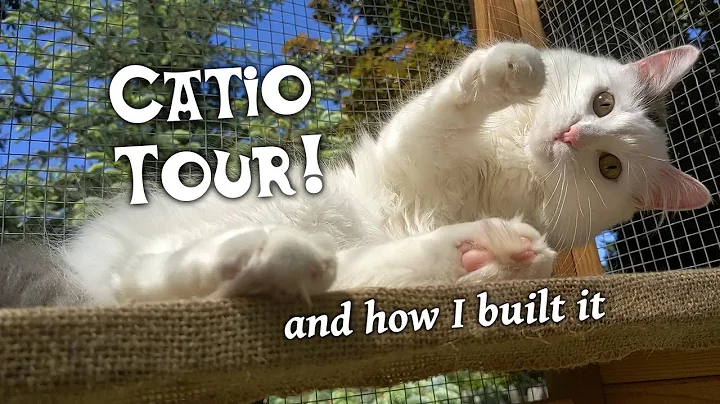 Catio Tour, Meet the Cats and See How I Built It