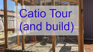 Catio Tour, Meet the Cats and See How I Built It