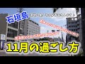 石垣島 11月の過ごし方を現地の島んちゅがお答えします