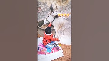 एक सच्चा सनातनी ही like kre ga Har Har Mahadev #shiv  #bholenath #mahadev #shorts #shortsfeed #viral