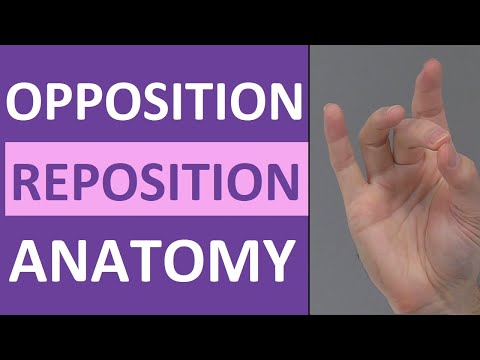 Video: Kas yra appozicijos biologijoje?